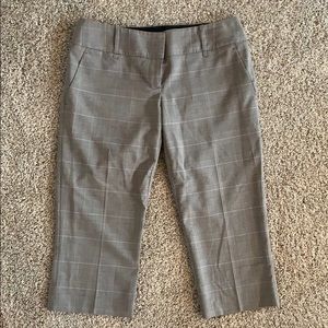 The Limited Drew Fit dress capris